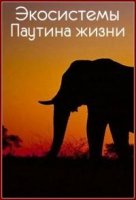 Экосистемы. Паутина жизни/Ecosystemes le Web du Vivant