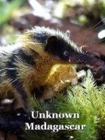 Неизвестный Мадагаскар/Unknown Madagascar