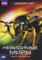Невидимые миры ВВС/Richard Hammonds Invisible Worlds