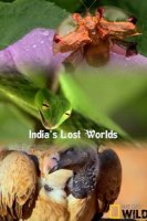 Потерянные миры Индии/Indias Lost Worlds