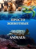 Просто животные/Just Animals