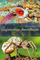 Стратегия жизни/Strategy of Life