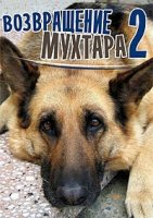 Возвращение Мухтара 10 сезон