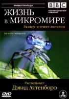 Жизнь в микромире/Life in the Undergrowth