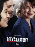 Анатомия страсти/Greys Anatomy 13 сезон