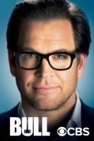 Булл/Bull 2 сезон