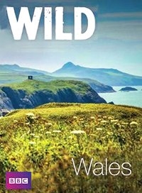 Дикий Уэльс/Wild Wales