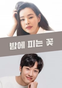 Цветы, которые распускаются по ночам/Knight Flower