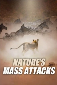 Массовые атаки в природе/Nature's Mass Attacks