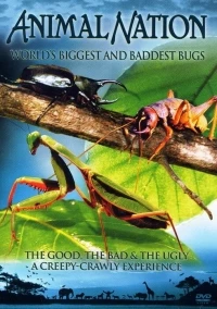Насекомые-гиганты/The World's Biggest and Baddest Bugs